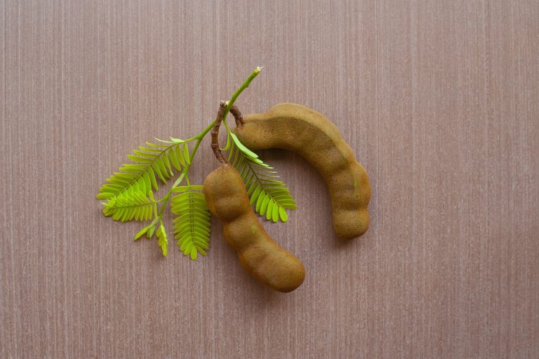 Tamarind: kwas winowy i środek trawienny